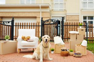 Pet Relocation Services