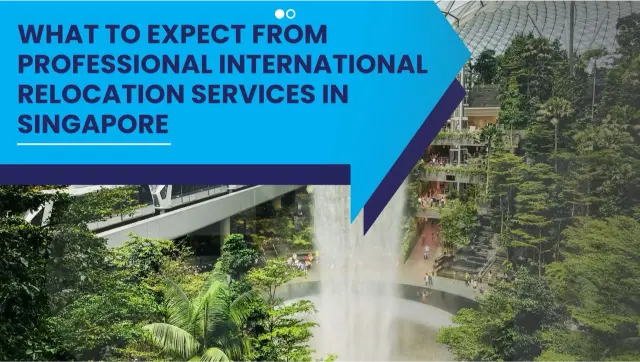 International relocation services in Singapore with indoor waterfall and modern city infrastructure