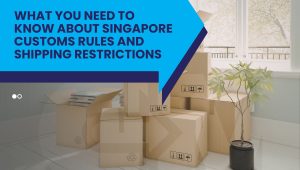 Singapore customs rules and shipping restrictions for household goods moving boxes