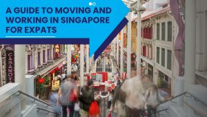 Moving and working in Singapore for expats exploring the city and business districts
